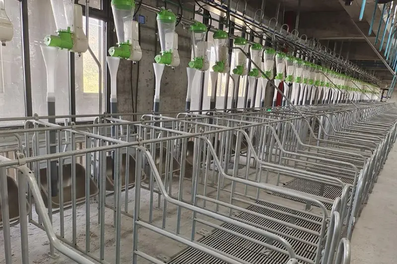 3S tower climber machine helps China Guangdong Wengyuan three-dimensional animal husbandry factory efficient lifting solutions