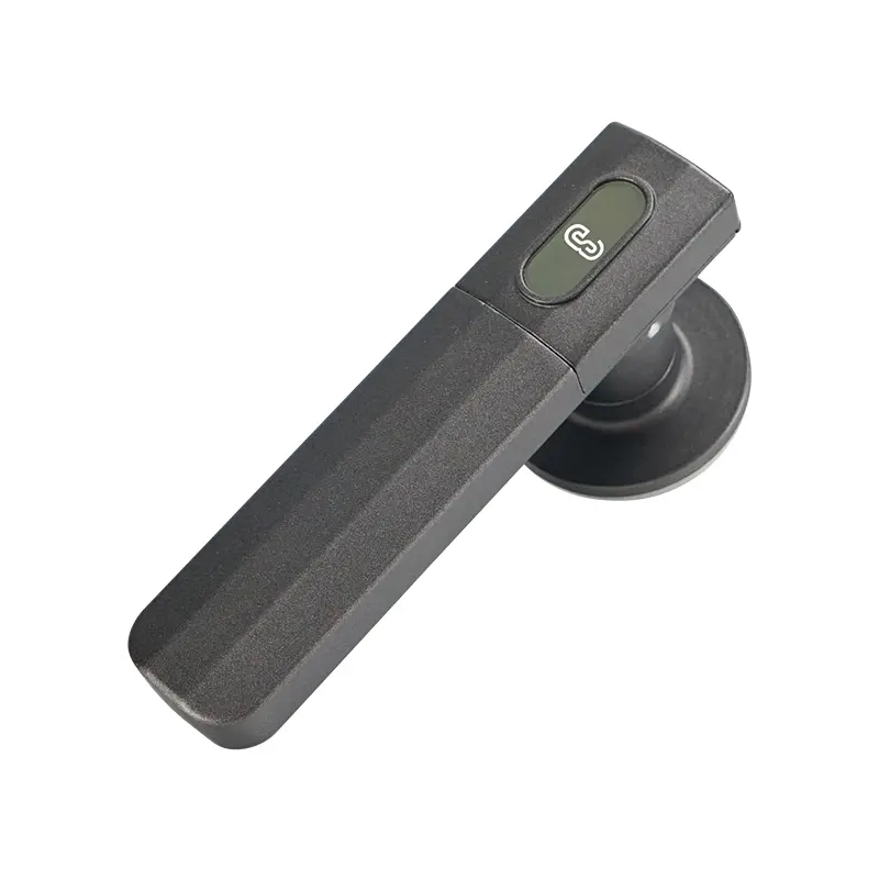3S Passive smart lock - Lever lock (3).jpg